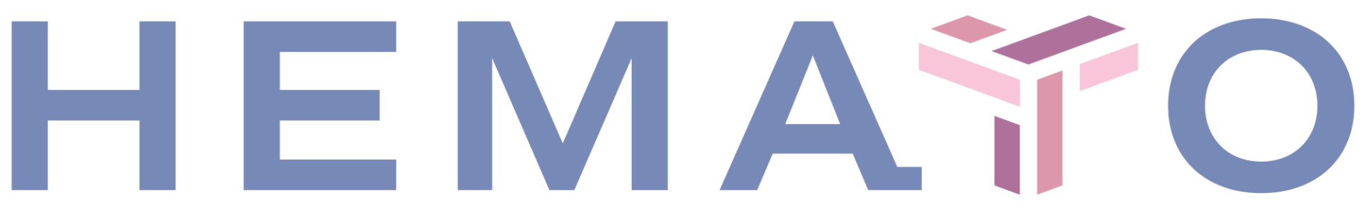 hema to logo