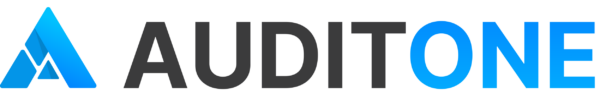 Logo: AuditOne